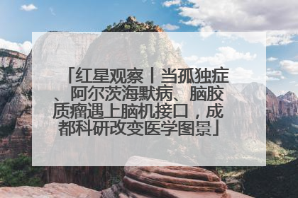 红星观察丨当孤独症、阿尔茨海默病、脑胶质瘤遇上脑机接口，成都科研改变医学图景