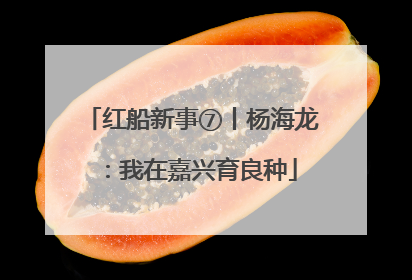 红船新事⑦丨杨海龙：我在嘉兴育良种
