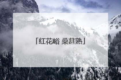 红花峪 桑葚熟