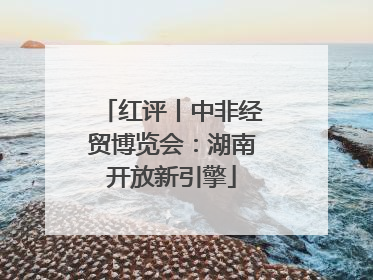 红评丨中非经贸博览会：湖南开放新引擎