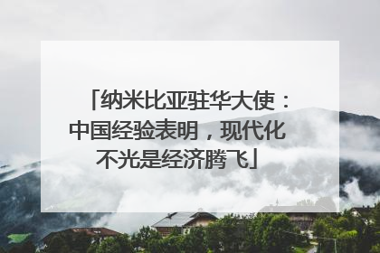 纳米比亚驻华大使：中国经验表明，现代化不光是经济腾飞