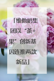 维他奶集团以“茶+果”创新基因连推两款新品