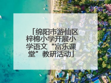 绵阳市游仙区梓棉小学开展小学语文“富乐课堂”教研活动