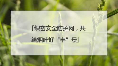 织密安全防护网，共绘烟叶好“丰”景
