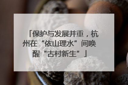 保护与发展并重，杭州在“依山理水”间唤醒“古村新生”