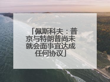 佩斯科夫：普京与特朗普尚未就会面事宜达成任何协议