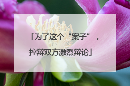 为了这个“案子”，控辩双方激烈辩论