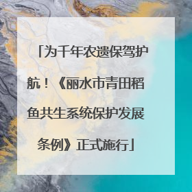 为千年农遗保驾护航！《丽水市青田稻鱼共生系统保护发展条例》正式施行