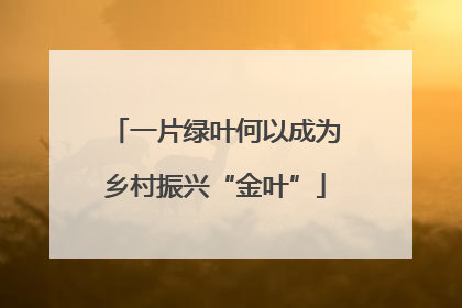 一片绿叶何以成为乡村振兴“金叶”