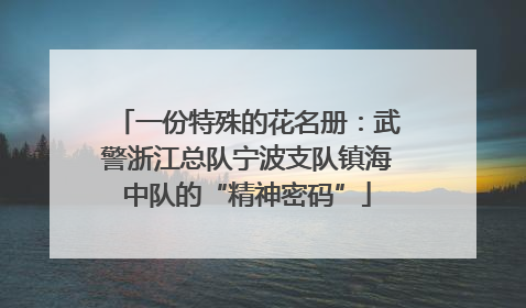 一份特殊的花名册：武警浙江总队宁波支队镇海中队的“精神密码”