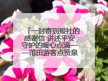 一封寄到报社的感谢信 讲述平安守护的暖心点滴——莆田游客点赞泉港民警