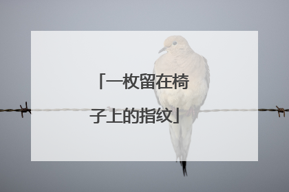 一枚留在椅子上的指纹