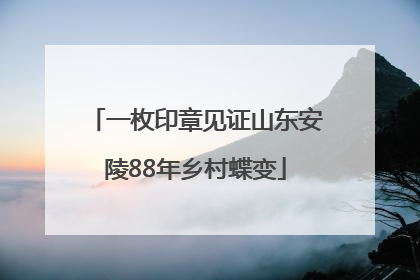 一枚印章见证山东安陵88年乡村蝶变