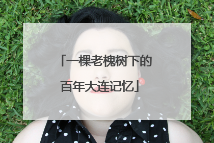 一棵老槐树下的百年大连记忆