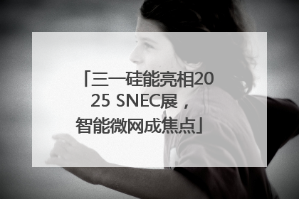 三一硅能亮相2025 SNEC展，智能微网成焦点