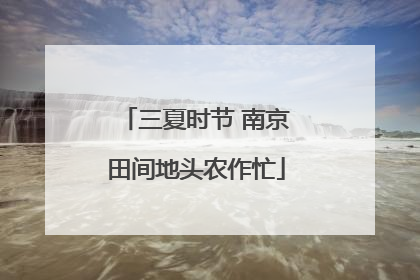 三夏时节 南京田间地头农作忙