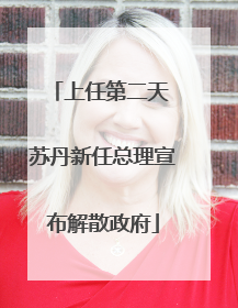 上任第二天 苏丹新任总理宣布解散政府