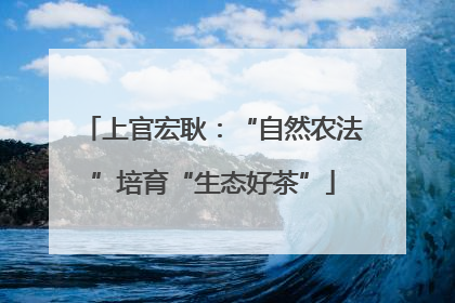 上官宏耿：“自然农法”培育“生态好茶”