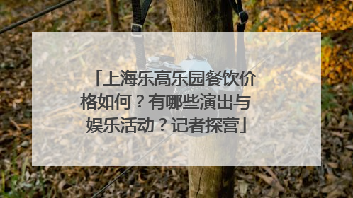 上海乐高乐园餐饮价格如何？有哪些演出与娱乐活动？记者探营
