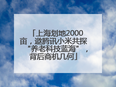 上海划地2000亩，邀腾讯小米共探“养老科技蓝海”，背后商机几何