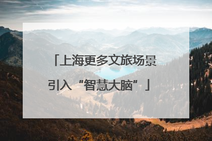 上海更多文旅场景引入“智慧大脑”