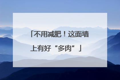 不用减肥！这面墙上有好“多肉”