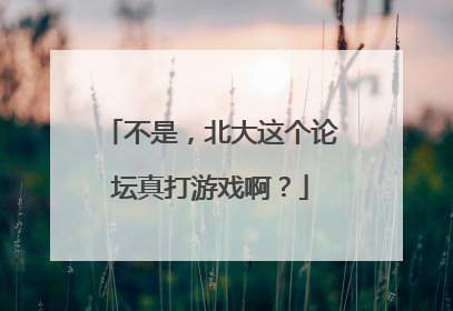 不是，北大这个论坛真打游戏啊？