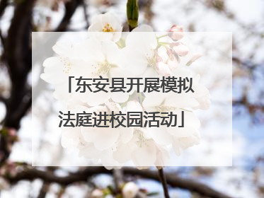 东安县开展模拟法庭进校园活动