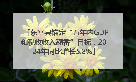 东平县锚定“五年内GDP和税收收入翻番”目标，2024年同比增长5.8%