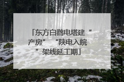 东方白鹳电塔建“产房” “陕电入皖”架线延工期