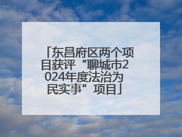 东昌府区两个项目获评“聊城市2024年度法治为民实事”项目