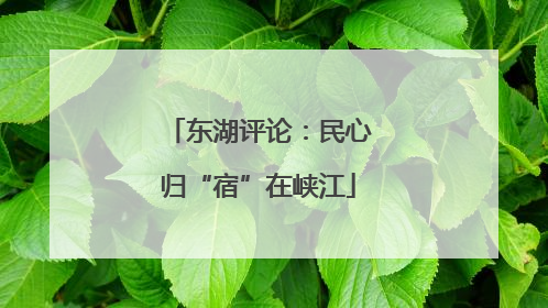 东湖评论：民心归“宿”在峡江