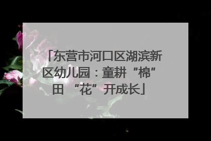 东营市河口区湖滨新区幼儿园：童耕“棉”田 “花”开成长