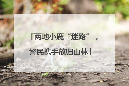 两地小鹿“迷路”，警民携手放归山林