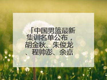 中国男篮最新集训名单公布，胡金秋、朱俊龙、程帅澎、余嘉豪再次入选