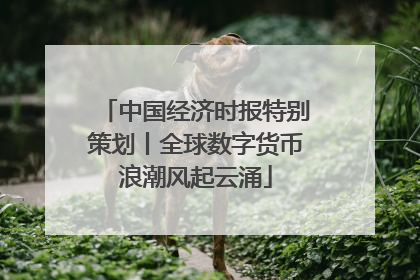 中国经济时报特别策划丨全球数字货币浪潮风起云涌