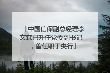 中国信保副总经理李文森已升任党委副书记，曾任职于央行