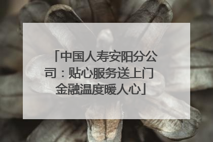 中国人寿安阳分公司：贴心服务送上门 金融温度暖人心