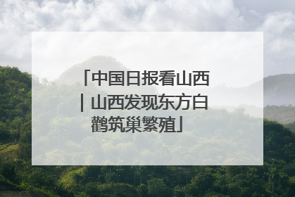 中国日报看山西｜山西发现东方白鹳筑巢繁殖