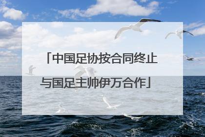 中国足协按合同终止与国足主帅伊万合作