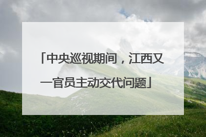 中央巡视期间，江西又一官员主动交代问题