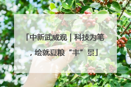 中新武威观｜科技为笔，绘就夏粮“丰”景