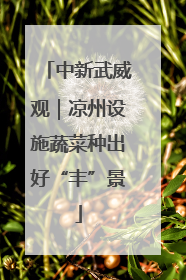 中新武威观｜凉州设施蔬菜种出好“丰”景