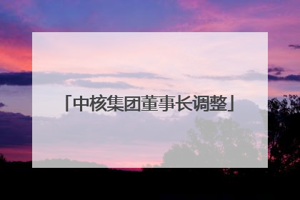 中核集团董事长调整