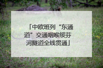中欧班列“东通道”交通咽喉绥芬河隧道全线贯通