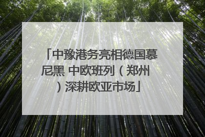 中豫港务亮相德国慕尼黑 中欧班列（郑州）深耕欧亚市场