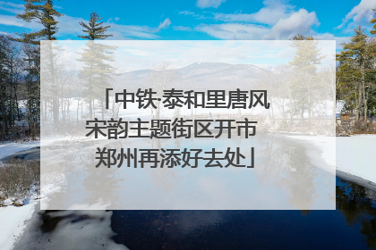 中铁·泰和里唐风宋韵主题街区开市 郑州再添好去处