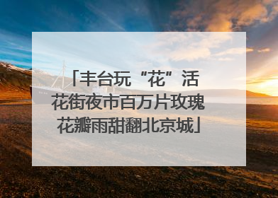 丰台玩“花”活 花街夜市百万片玫瑰花瓣雨甜翻北京城