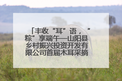 丰收“耳”语，“粽”享端午—山阳县乡村振兴投资开发有限公司首届木耳采摘活动盛大启幕