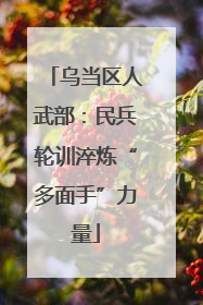 乌当区人武部：民兵轮训淬炼“多面手”力量